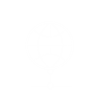 icons-globe-Cloud-privé-vmware